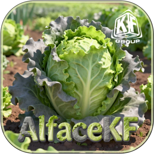 AlfaceKF.com Logo